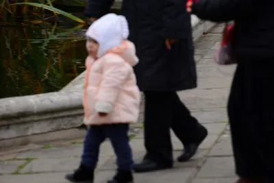 DSC_0541 (Large).JPG